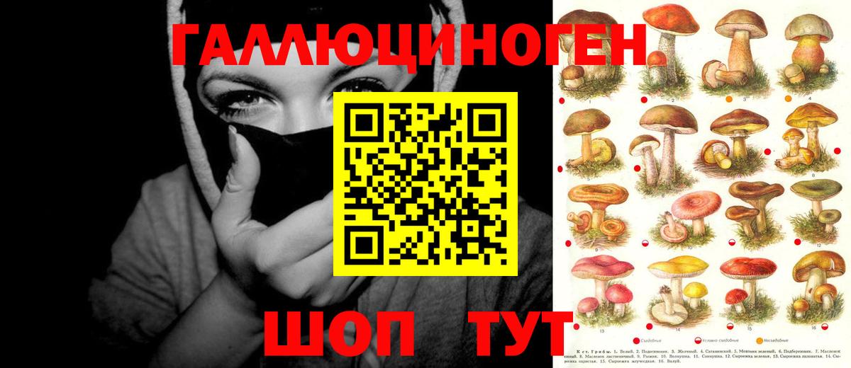 Псилоцибиновые грибы прущие грибы  Псилоцибиновые грибы MAGIC MUSHROOMS  сколько стоит  Вход с VPN  Павловский Посад 